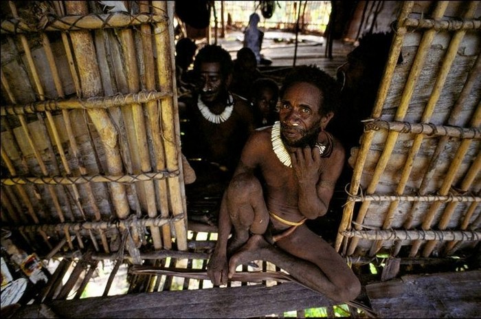Papouasie-Nouvelle-Guinée : les seuls peuples du monde qui vivent dans les arbres (10)