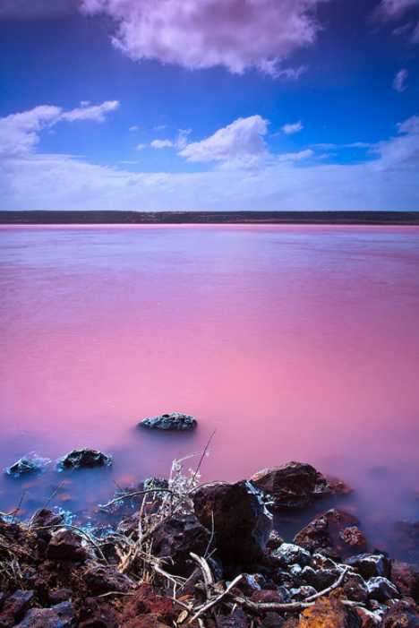 Hutt Lagoon : un lac rose