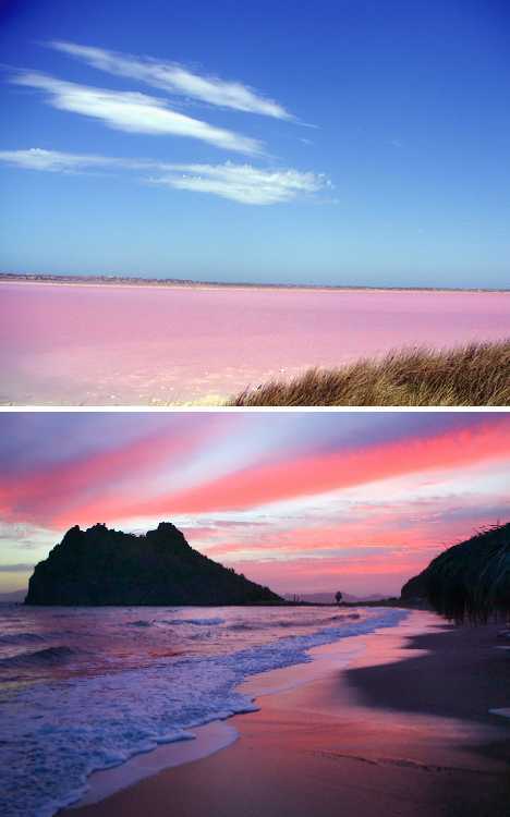 Hutt Lagoon : un lac rose (6)