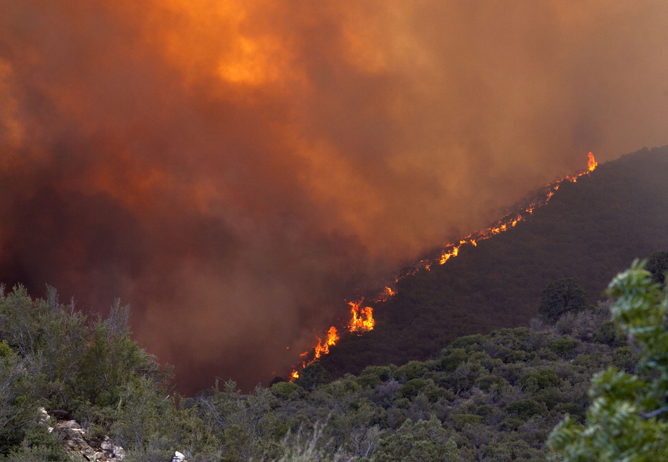 En mars 2012, un feu de forêt s'est déclaré dans l'Arizona, aux États-Unis.