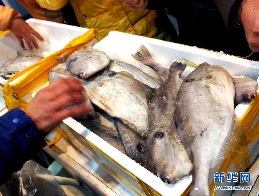 Les poissons frais des îles Diaoyu connaissent un succès à Shanghai (2)
