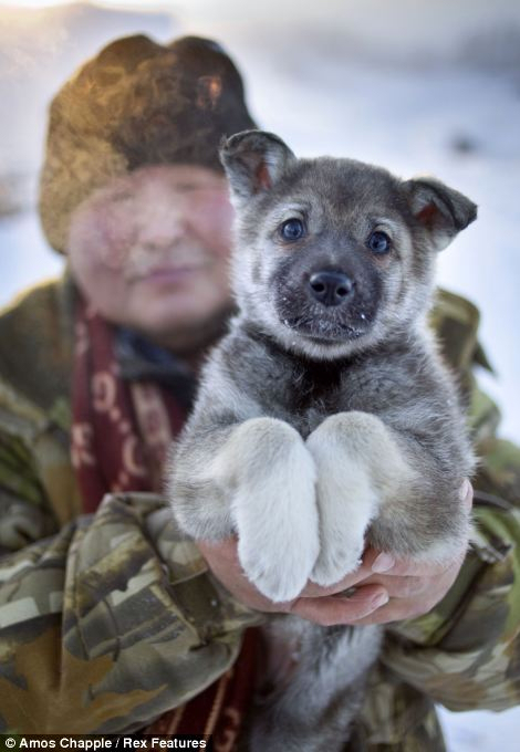 Oïmiakon: l'endroit le plus froid sur Terre (15)