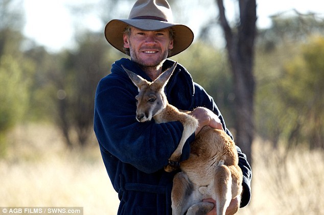 L'Australien Chris Barnes et son orphelinat de kangourous (11)