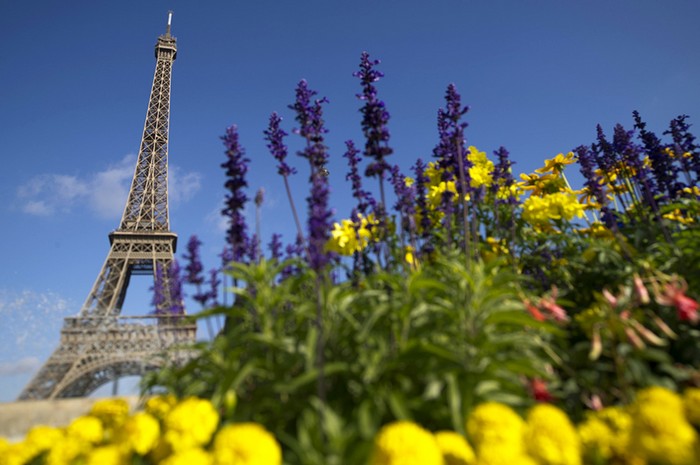 La beauté de la Tour Eiffel (5)