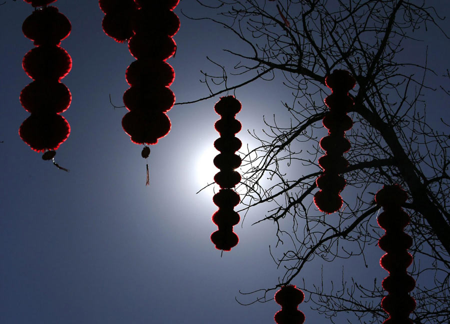 Des lanternes rouges ont été suspendues dans les arbres du parc Ditan (temple de la Terre) à Beijing, à l'approche des festivités du Nouvel An du calendrier lunaire chinois, le 4 février 2013.