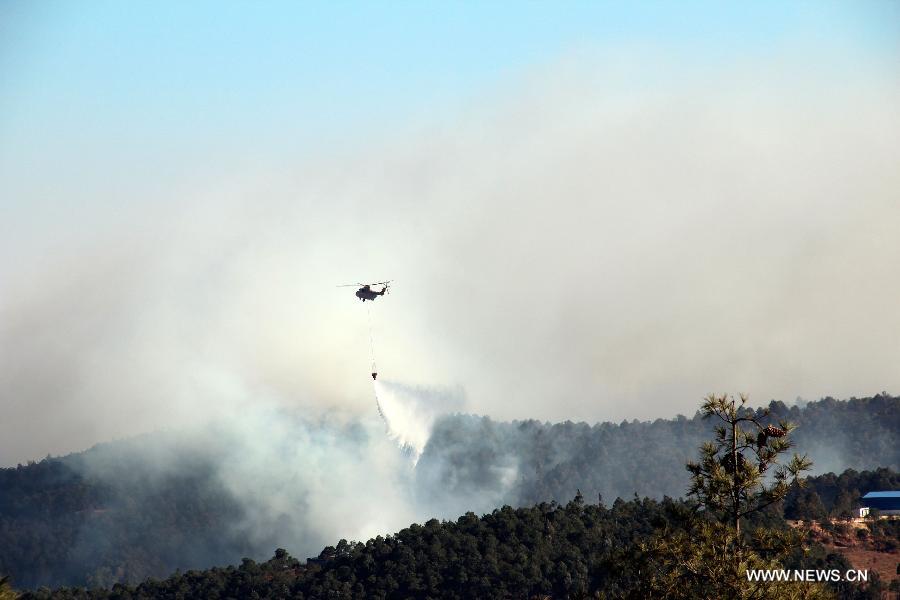 Chine : lutte contre un incendie dans une montagne au Yunnan (3)