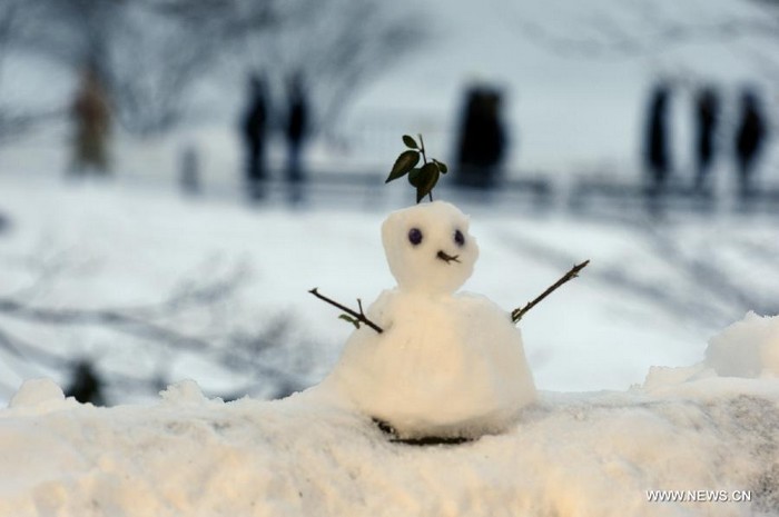 New York: Central Park sous la neige (7)