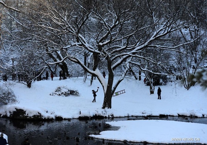 New York: Central Park sous la neige (5)