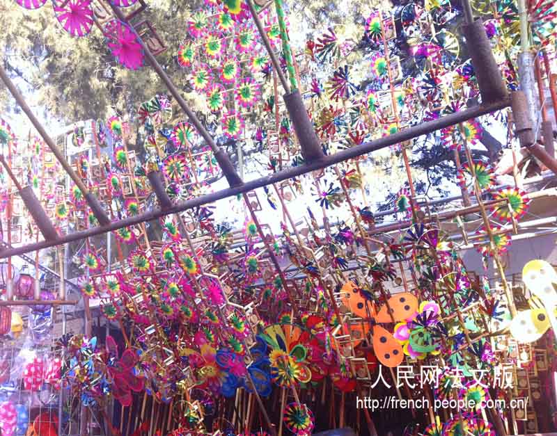 Foire du temple de la terre : sentir l'ambiance de la Fête du Printemps (14)