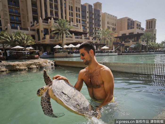Djokovic s'amuse avec une tortue à Dubaï
