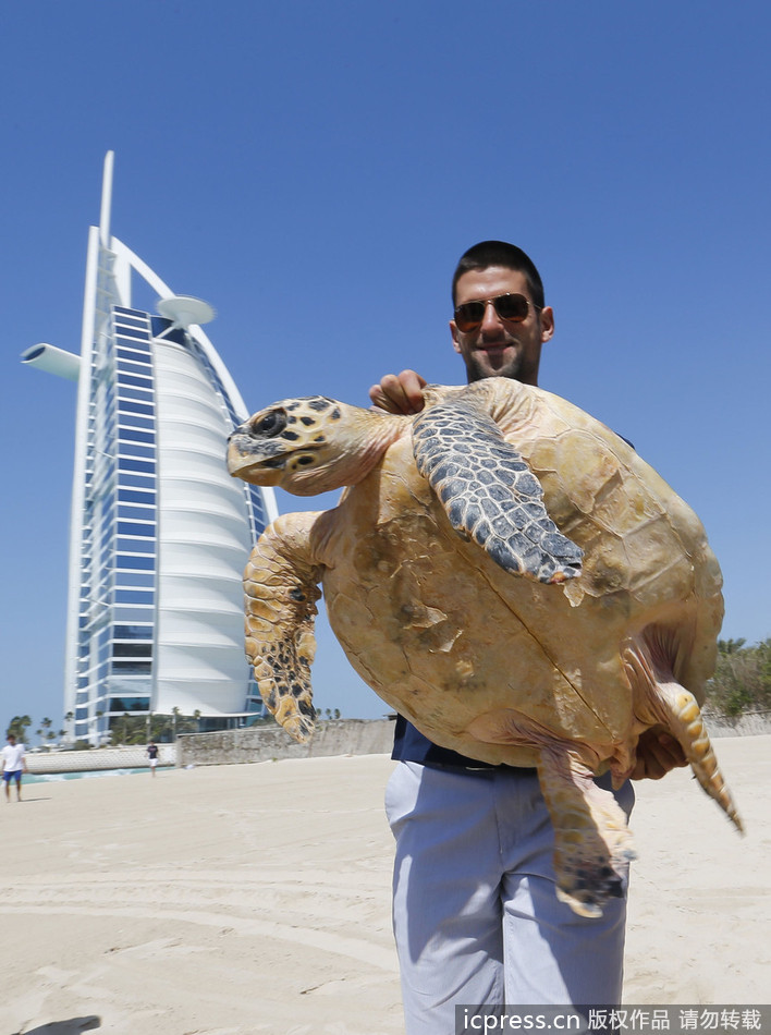 Djokovic s'amuse avec une tortue à Dubaï (2)