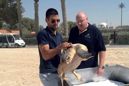 Djokovic s'amuse avec une tortue à Dubaï (4)