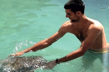 Djokovic s'amuse avec une tortue à Dubaï (3)