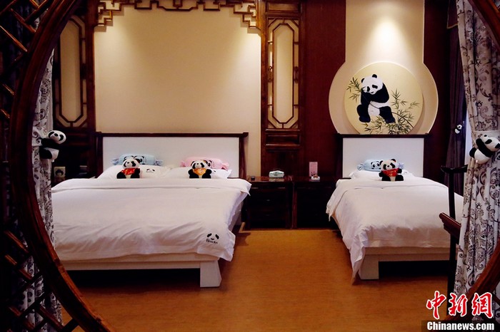 Chine: Le premier hôtel à thème de panda du monde (4)