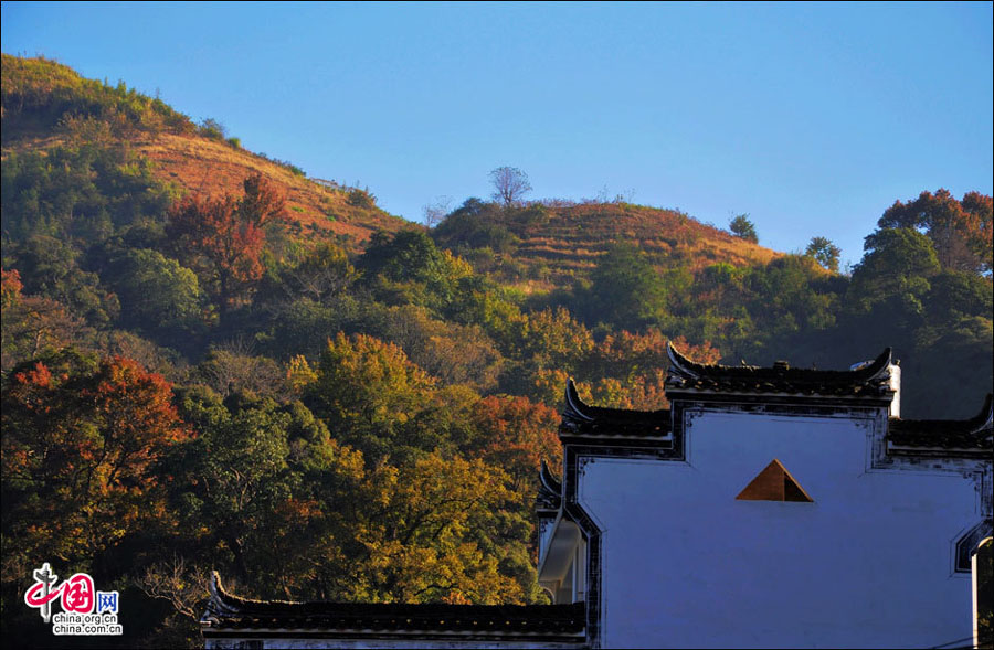 Wuyuan, la plus belle campagne chinoise (15)