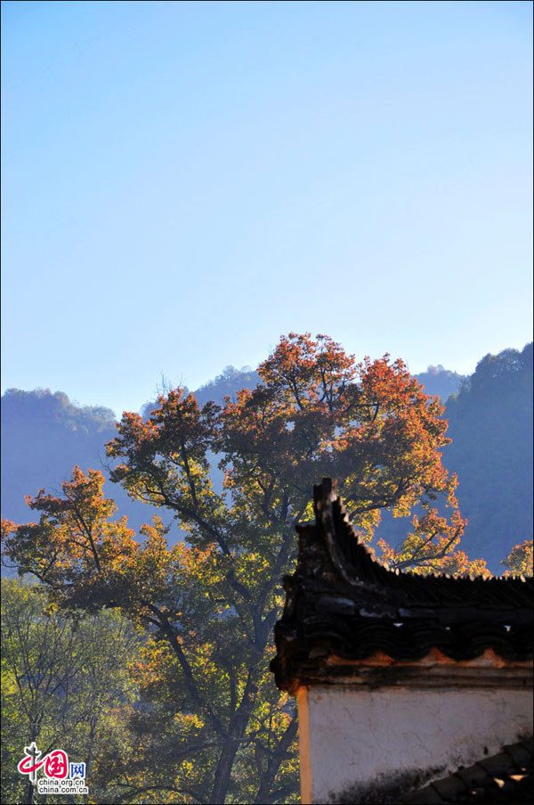 Wuyuan, la plus belle campagne chinoise (14)