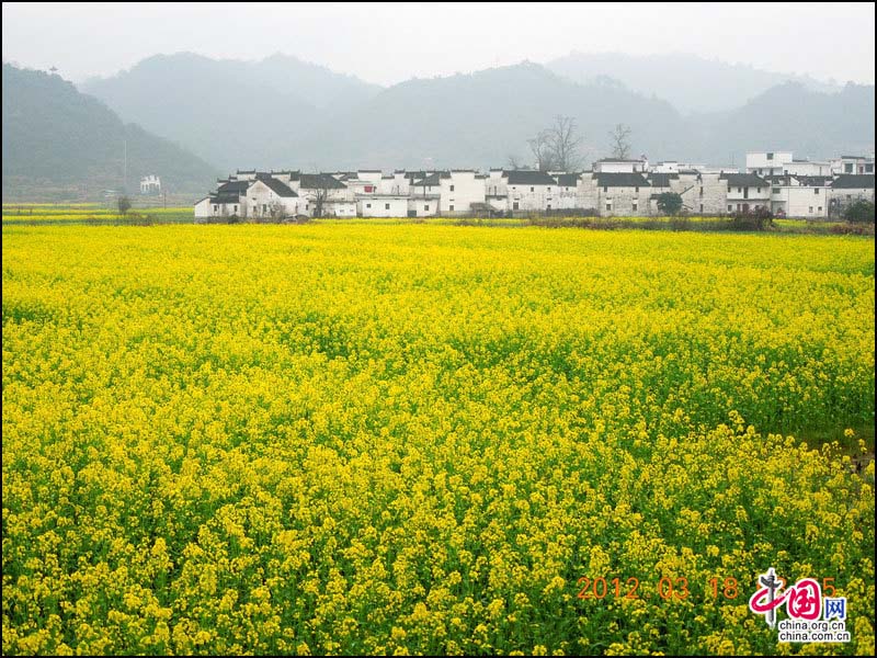 Wuyuan, la plus belle campagne chinoise (9)