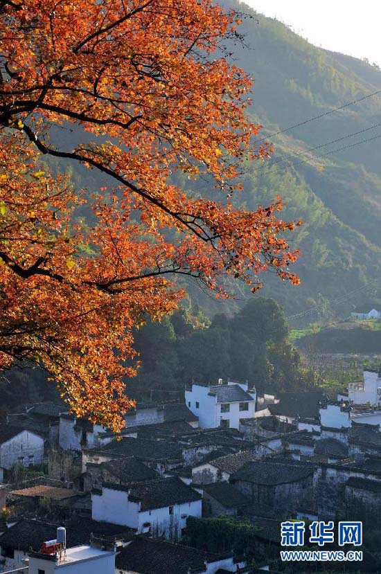 Wuyuan, la plus belle campagne chinoise (10)