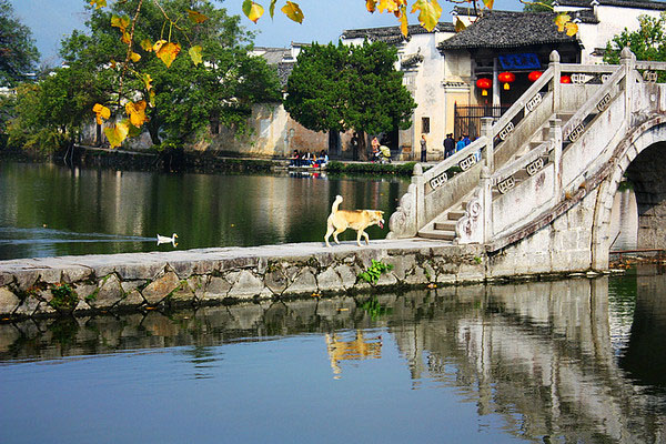 L'ancien village de Hongcun dans le sud de l'Anhui  (6)