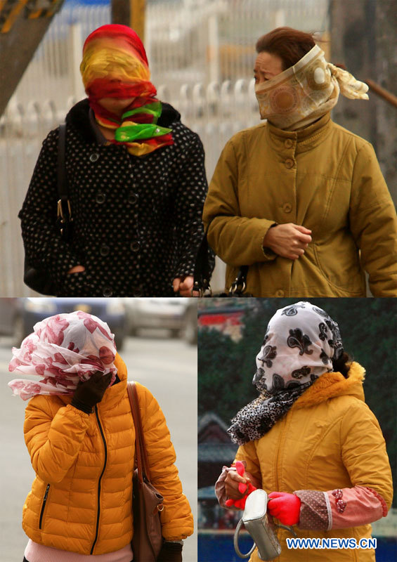 Beijing et les regions alentour confrontées à une qualité de l'air "dangereuse" (10)