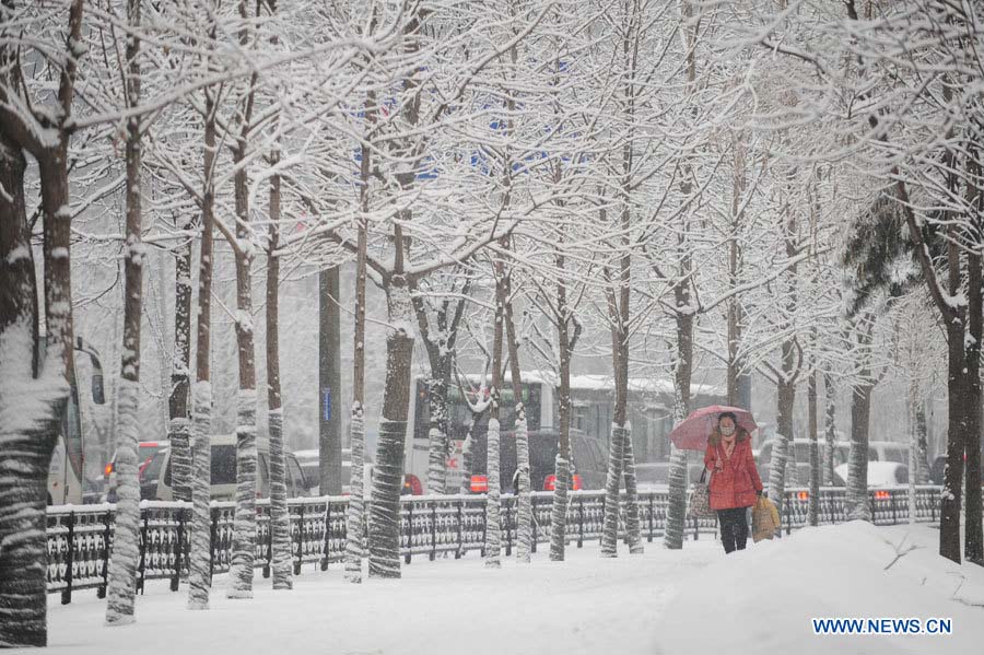 Blizzard dans le nord-est de Chine, aéroport et autoroutes fermés  (3)