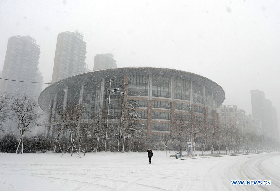 Blizzard dans le nord-est de Chine, aéroport et autoroutes fermés 