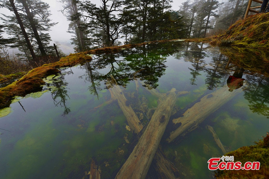 Baoxing, une féerie au Sichuan (9)