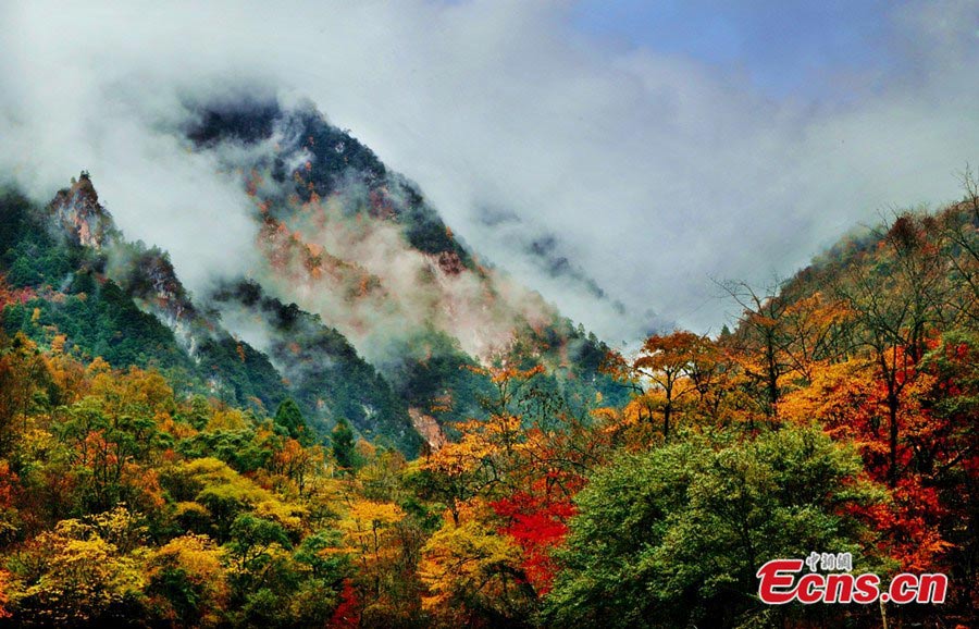 Baoxing, une féerie au Sichuan (3)