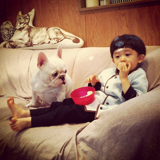 Un petit garçon japonais et son bouledogue très mignon (2)