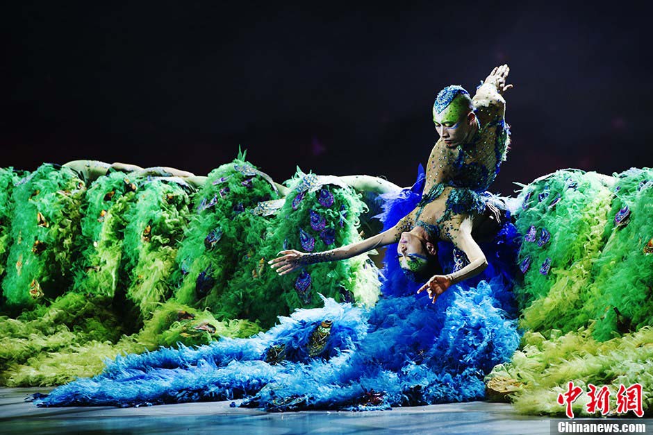 Danse du paon : la dernière représentation d'une danseuse chinoise (2)