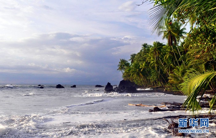 Un voyage consacré au yoga au Costa Rica.