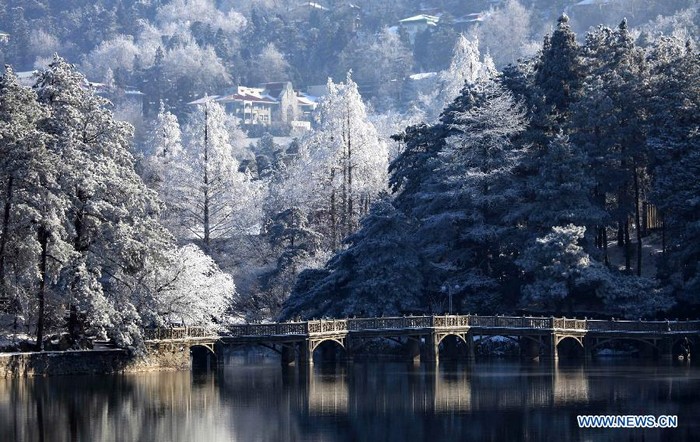 Photo prise le 26 décembre 2010 montrant des paysages d'arbres couverts de la neige du mont Lu à Jiujiang, dans la province du Jiangxi (est de la Chine)