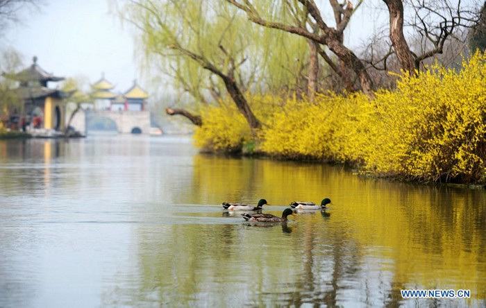 Le Lac mince de l'Ouest dans le Jiangsu (3)