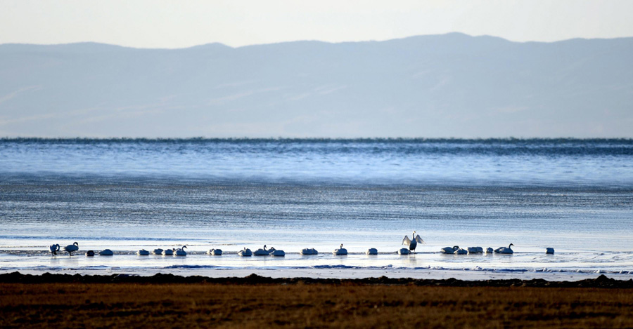 Photo du lac Qinghai, situé au nord-ouest de la Chine, dans la province du Qinghai, prise le 12 décembre 2012.