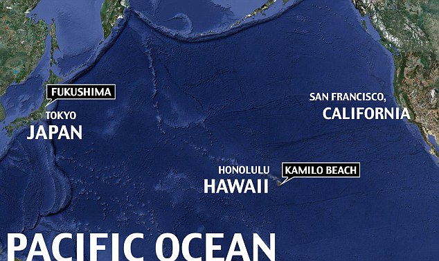 Les déchets du séisme japonais flottent à Hawaii (8)