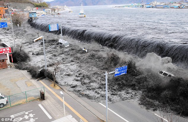 Les déchets du séisme japonais flottent à Hawaii (3)