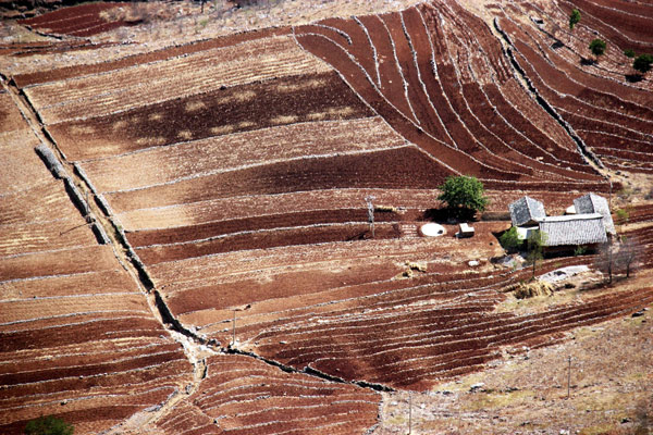 Le 16 mars 2013, une grande partie des terres sont touchées par la sécheresse persistante dans le village de Zhongguan (comté de Weining), situé dans la province du Guizhou, au sud-ouest de la Chine. [Photo/Xinhua]