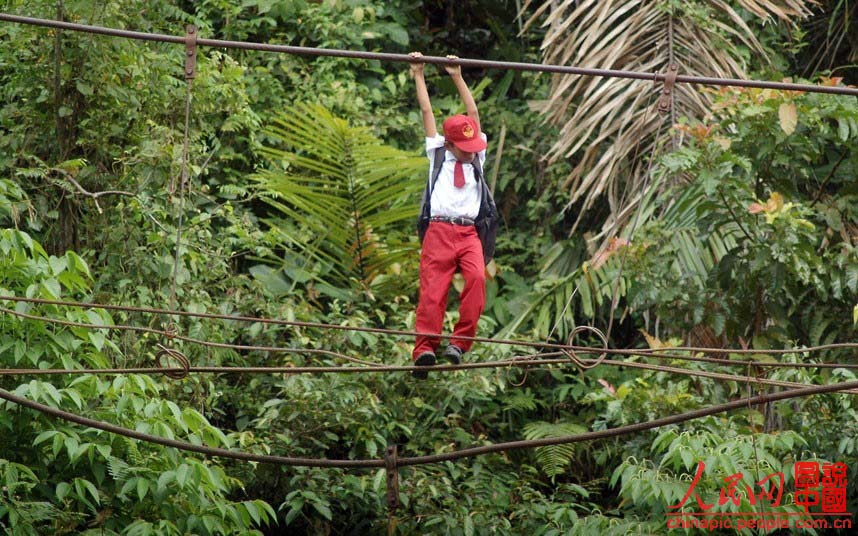 A Padang, en Indonésie, un garçon suspendu à une chaîne de fer tendue au-dessus de la rivière, à une hauteur d'environ neuf mètres. Il se dit que chaque jour 20 élèves traversent ainsi la rivière.