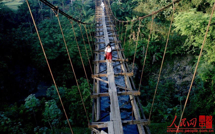 Sur l'île indonésienne de Java, une petite fille marche sur un dangereux pont suspendu. Situé au-dessus d'un ravin, le pont comporte une étroite piste en bois en son centre, qui permet le passage d'un vélo.