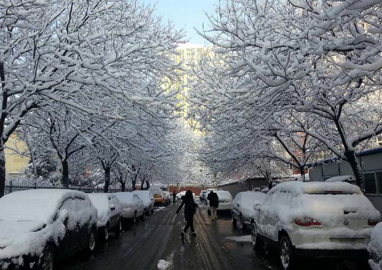 Beijing sous la neige printanière (15)