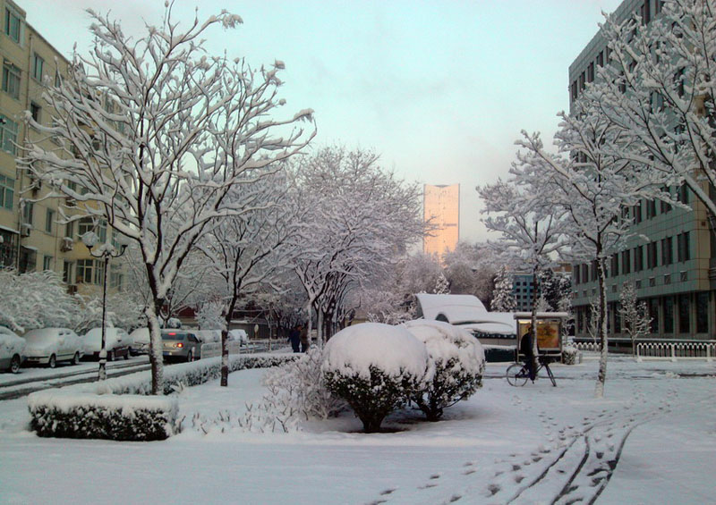 Beijing sous la neige printanière (14)