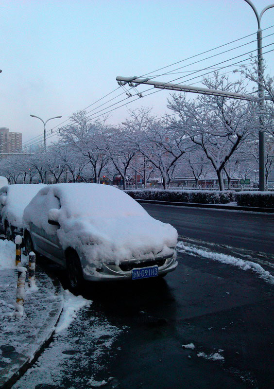 Beijing sous la neige printanière (13)