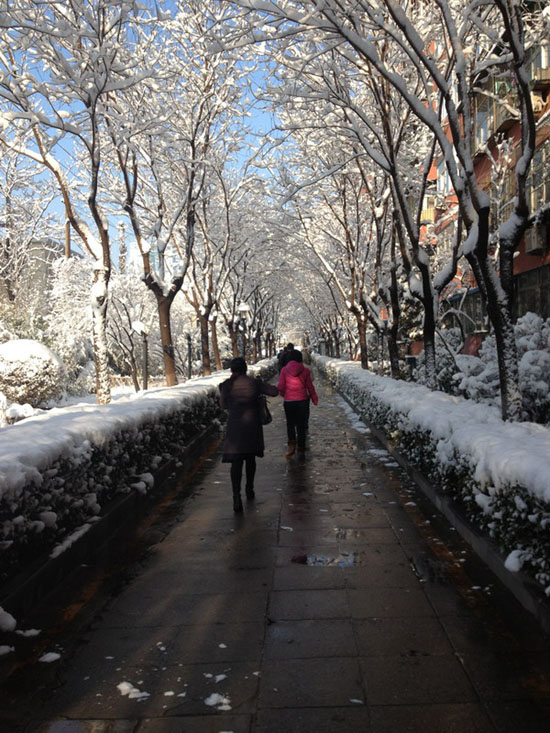 Beijing sous la neige printanière (12)