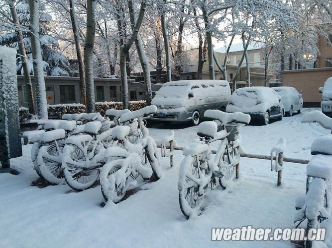 Beijing sous la neige printanière (9)