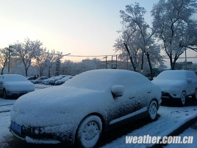 Beijing sous la neige printanière (8)