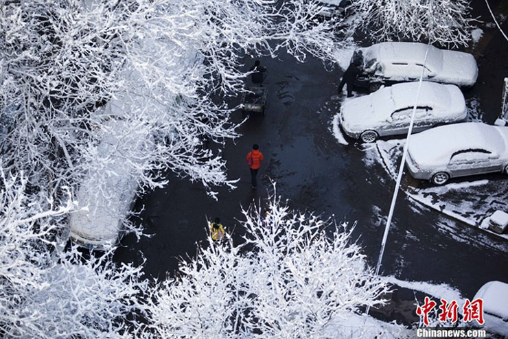 Beijing sous la neige printanière (6)