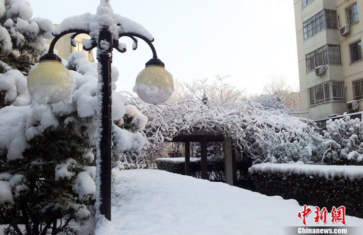 Beijing sous la neige printanière (2)