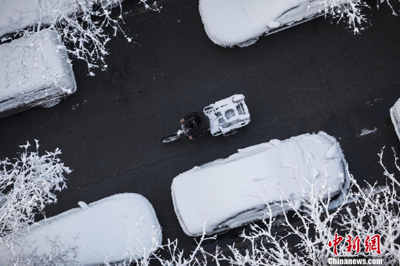 Beijing sous la neige printanière (3)