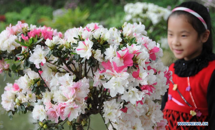 Une petite fille regarde des fleurs d'azalée lors du 1er Festival culturel de l'Azalée ouvert le 19 mars 2013 à Fuzhou, capitale de la province chinoise du Fujian. (Xinhua/Lin Shanchuan)
