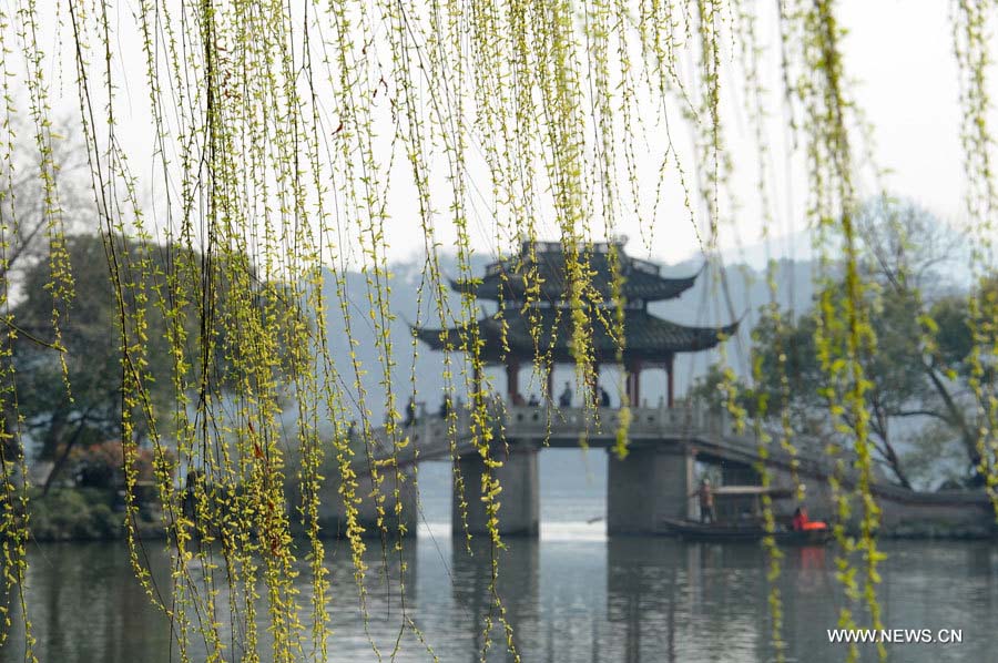 Photo prise le 7 mars 2013 à Hangzhou, dans la province du Zhejiang